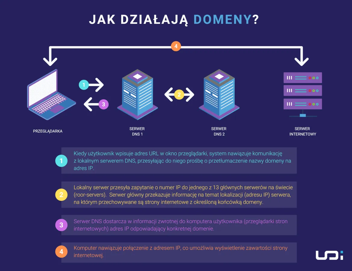 Zdjęcie Domena co to? Kluczowe informacje o adresach internetowych